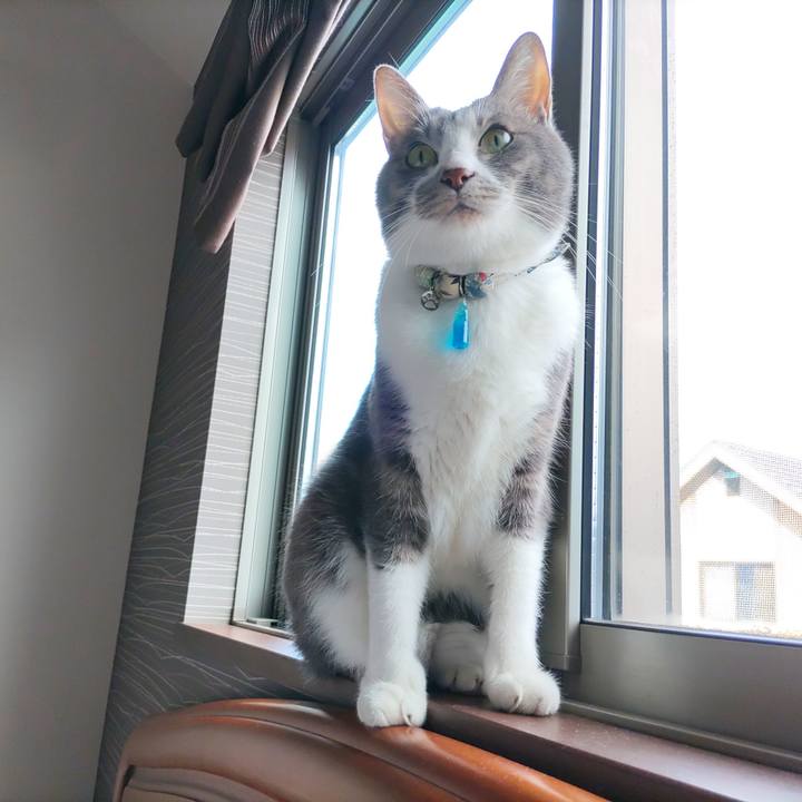 3324e873 feb1 4ed6 ba7f fa68b0966c2b 1703986155238