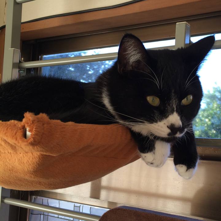 33253f33 cd2a 4fc5 9424 79b6ac3f201e 1512272419221