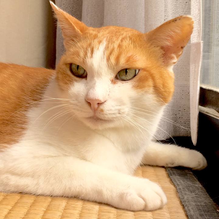 33254d13 00db 4e0e 803c 4a3dfbd536d4 1566791111458