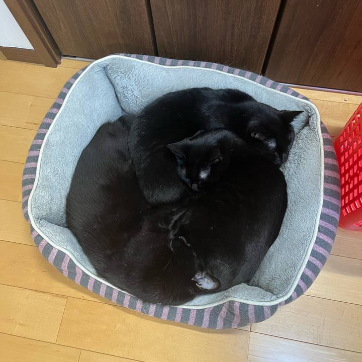 33257766 4909 4c14 8da4 d0b97975ecab 1740643513172