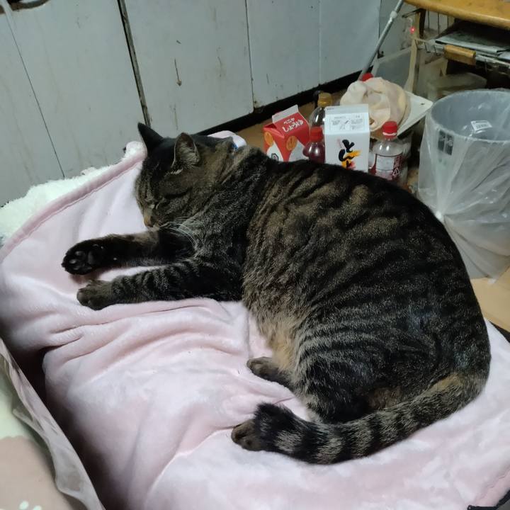 33258596 e930 42e0 8d78 ce1a9e91a739 1701211357126