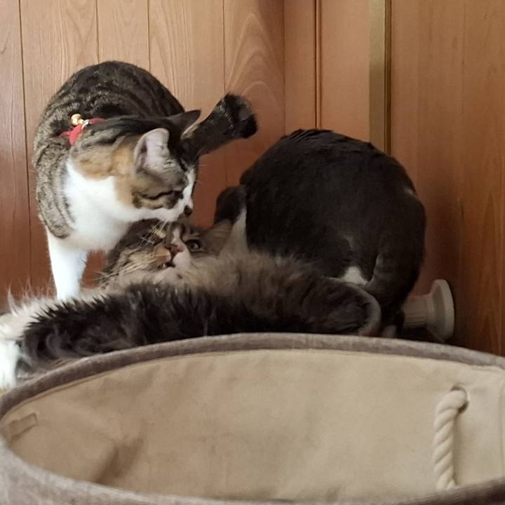 3325bf10 8a30 477d 8d90 87777f081163 1739146928270