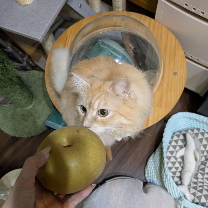 3325c361 ccaf 43cc 817c 797895bd40a1 1756899787168