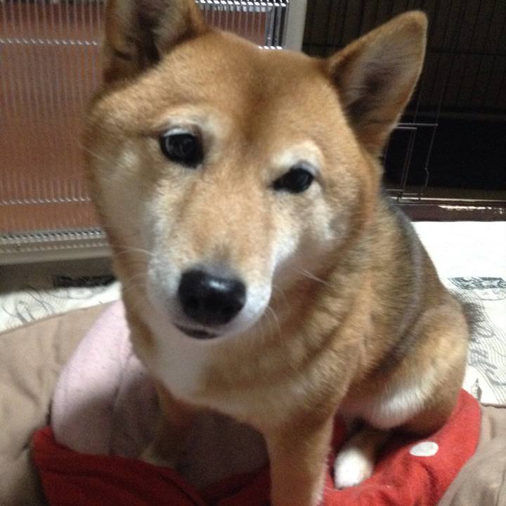 3325dd9a 5a61 40d1 b928 edd3edd0ecba 1516437936524