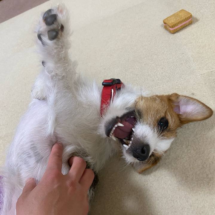 332603d3 2339 4423 9280 2a667de5f0b3 1648823259996