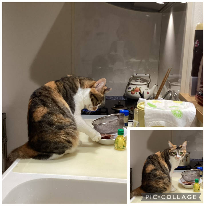 33261834 d78e 47af b8e6 5da4a5fe749e 1760771661196