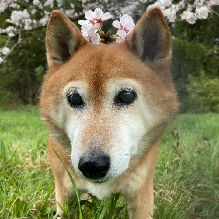 3326ecb4 606a 4338 b4b0 c5ce745e3af5 1679639450792