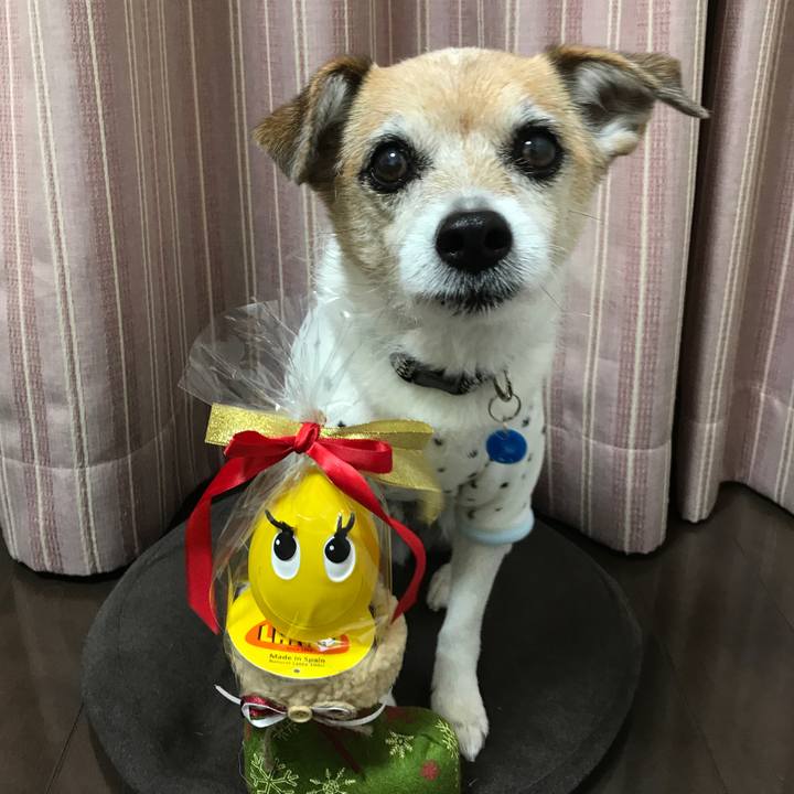 33270be2 7a3d 4ed8 b45e aa34967f4a6b 1640386884798