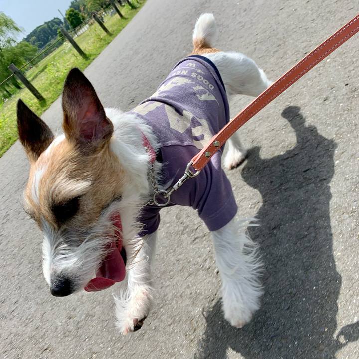 3327165c 7b19 4923 b535 12c3e26071c3 1620191789269