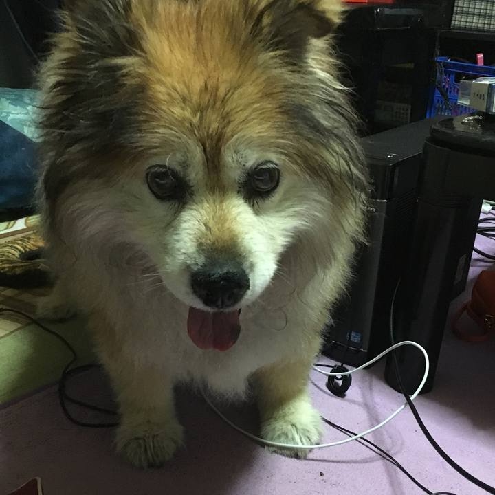 3327c017 a004 4974 ab83 39fc0c7eee30 1595552757341