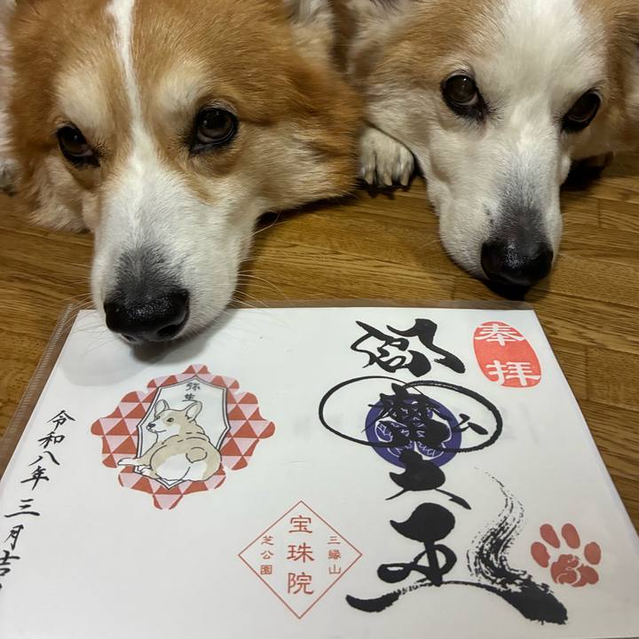 3327da5b 81f9 4e28 8bf5 0c96be947570 1774774485116