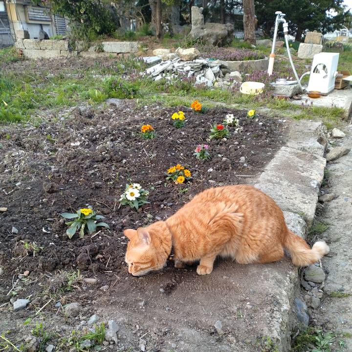 33283c76 46b4 4861 9b5f 1a0f4341ec21 1682288695258