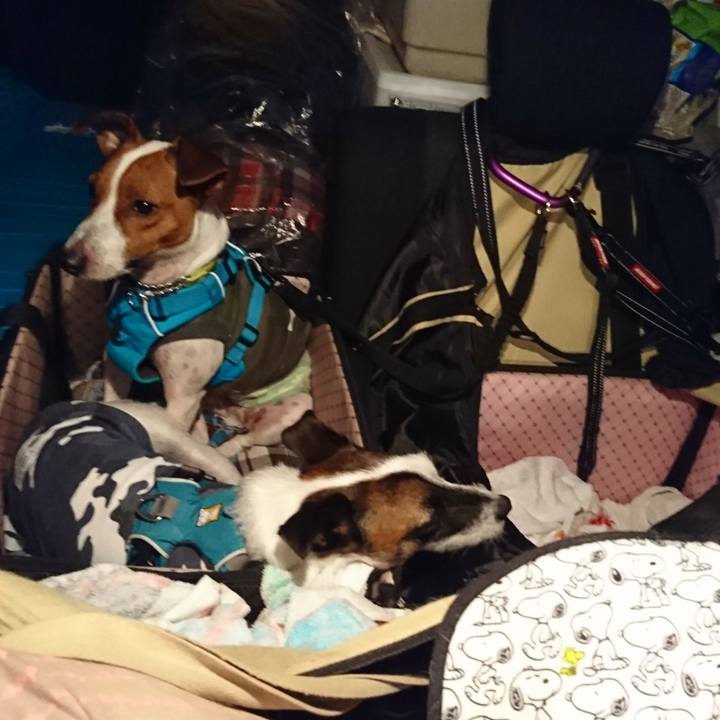 332866f2 eaca 45c9 bffb f4b2bd7f3c50 1566652257321