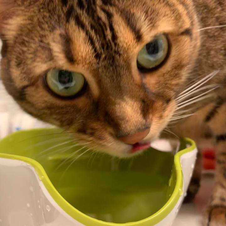 33286818 2178 4ce8 bf8e 2fa1a9e05ebf 1548328343925