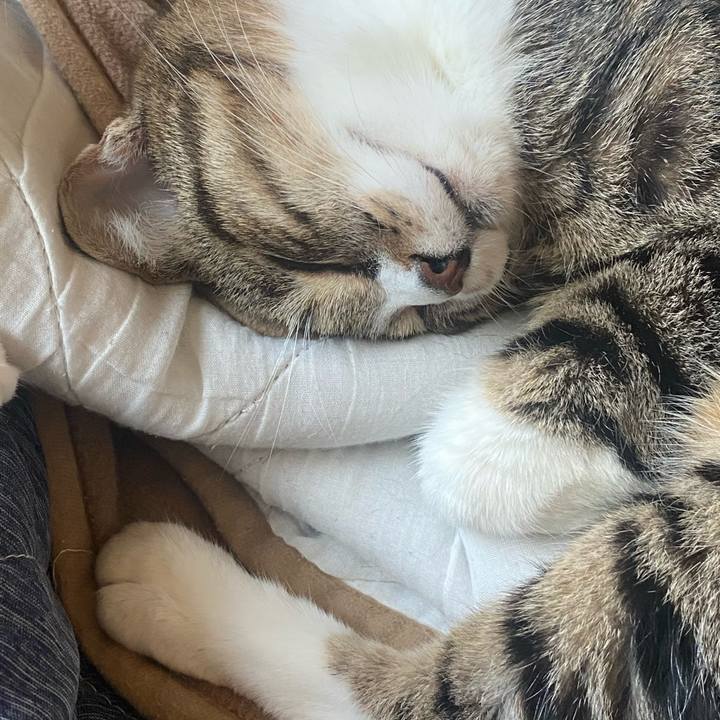 33286efb e226 485f b62b 188525ace66e 1624309913622