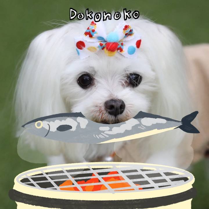 33288364 1ad0 4ca1 a2c5 0580fa2b0672 1761135256662