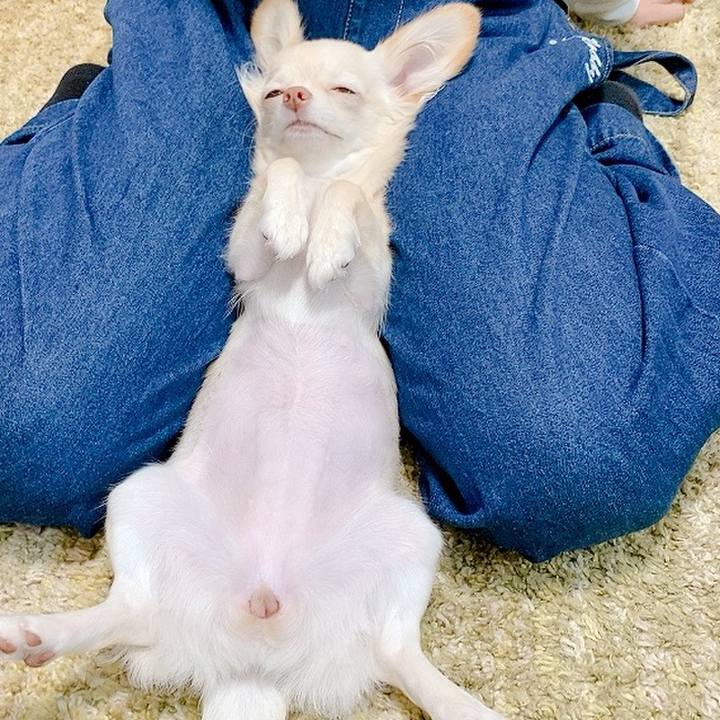 3328dab6 c7bb 46b0 97cf 3764a2153e31 1600849103587