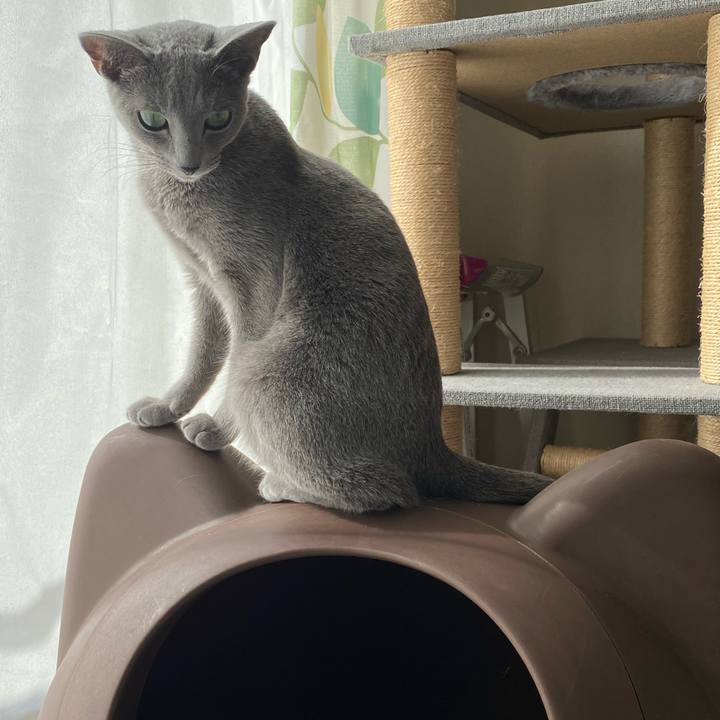 3328e0ad ffa4 41a4 88c2 15d74dddd7ff 1636508662155