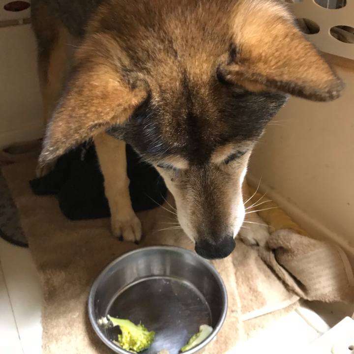 3328f214 98ec 484c b511 321d6461f30b 1555927795028