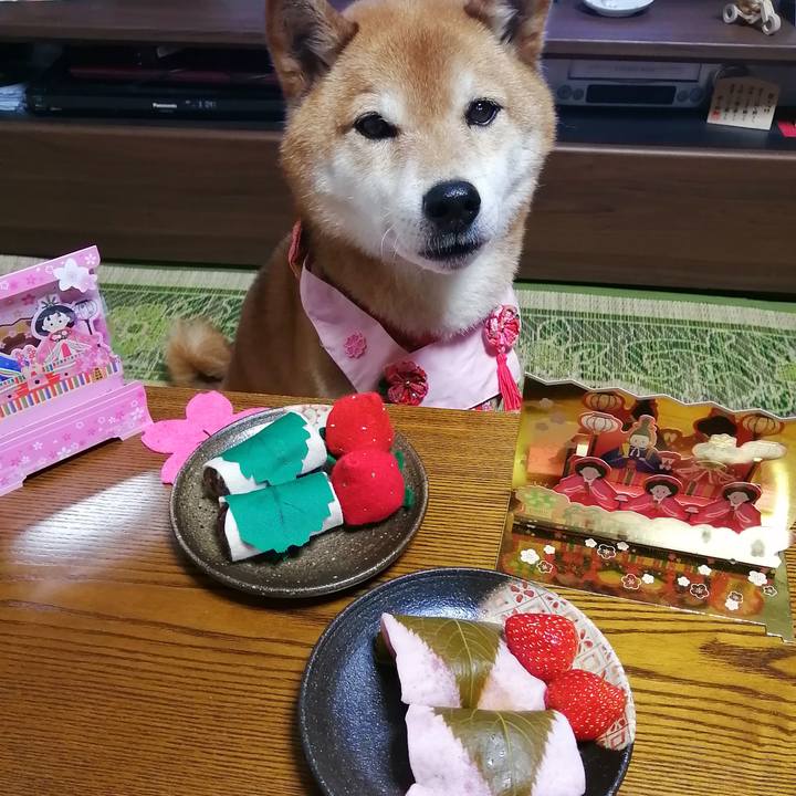 33290ad0 d8a8 491b 9e0e 34dca0d13562 1677841809368