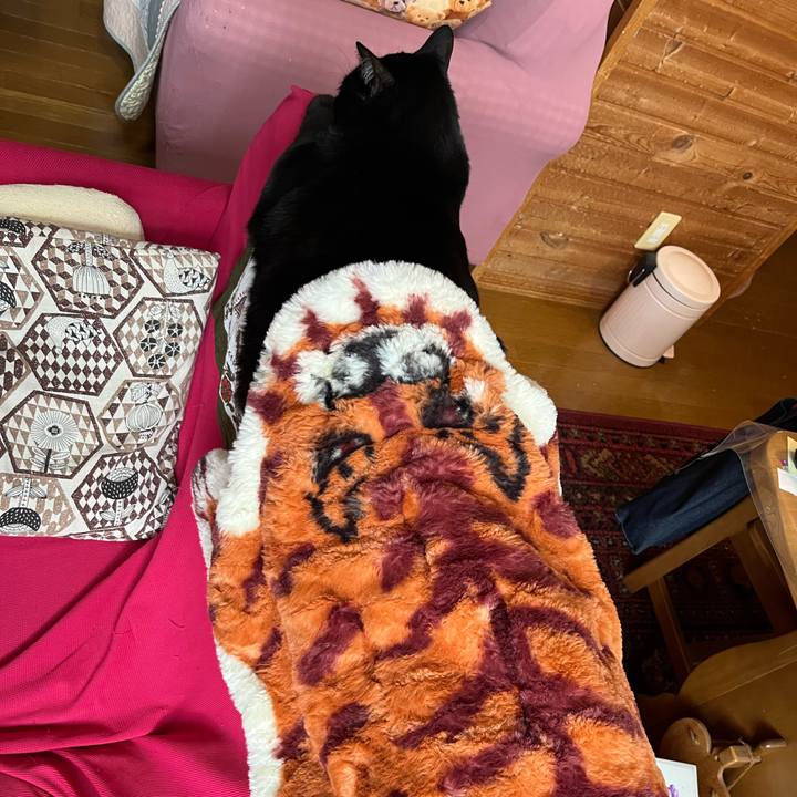 332921cd 59db 4e29 bb5e 8a711959c5c8 1760328719016