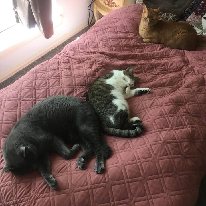 33292dbc 345f 4c93 9b01 844f9db77d60 1651969506087