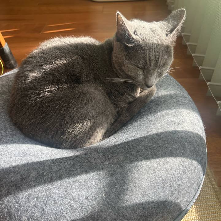 332932a5 0c3e 4e30 bdab edca18b33a4d 1733016258138