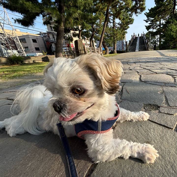 3329a6d8 05d6 469c 9c29 9eb6fea089dd 1751492962502