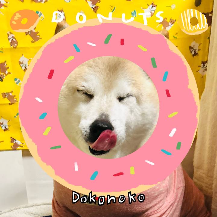 3329af04 430b 4fcb 80d9 a09aefd715e6 1744252471589