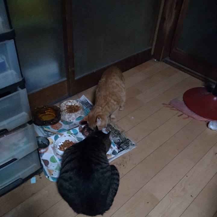 3329af50 b83e 4426 8be3 582f19649641 1668808807812