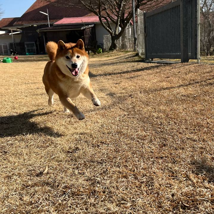 3329f523 471d 4098 8851 58ab0e63cbbf 1645917668831