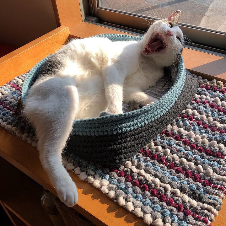 332a013b 0b40 4522 b1bc 59670be94070 1653173651239