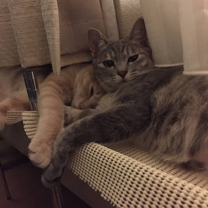 332a214b 33cb 48b5 9859 be2659b706e8 1547038181023