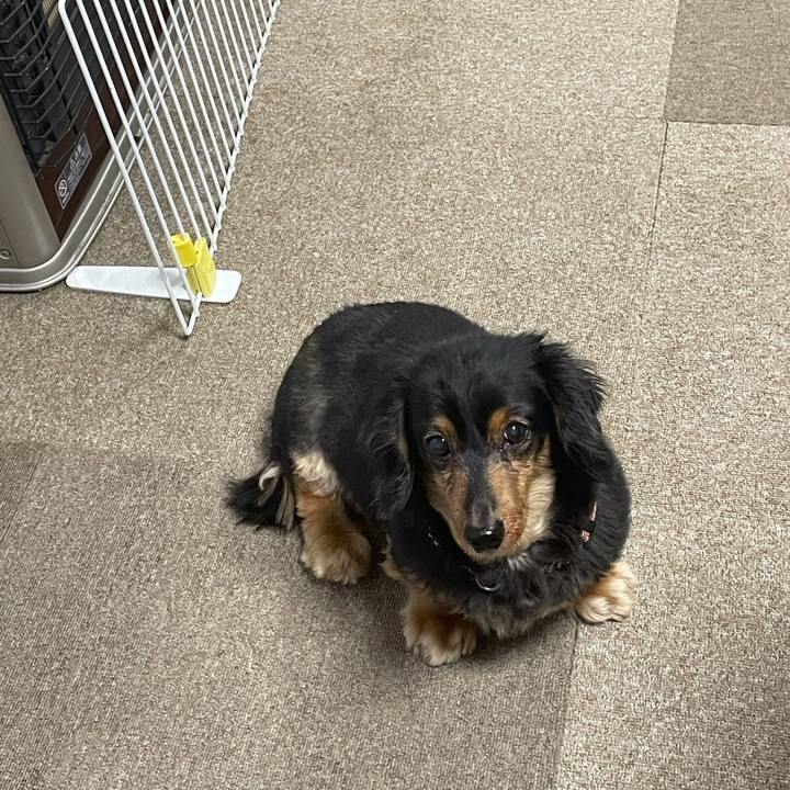 332a8245 d889 46b9 91a5 1ccb78070642 1612216579025