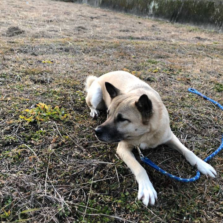 332a8d4f 06c0 424b 9d3d cdb9fd52efa9 1611059022483