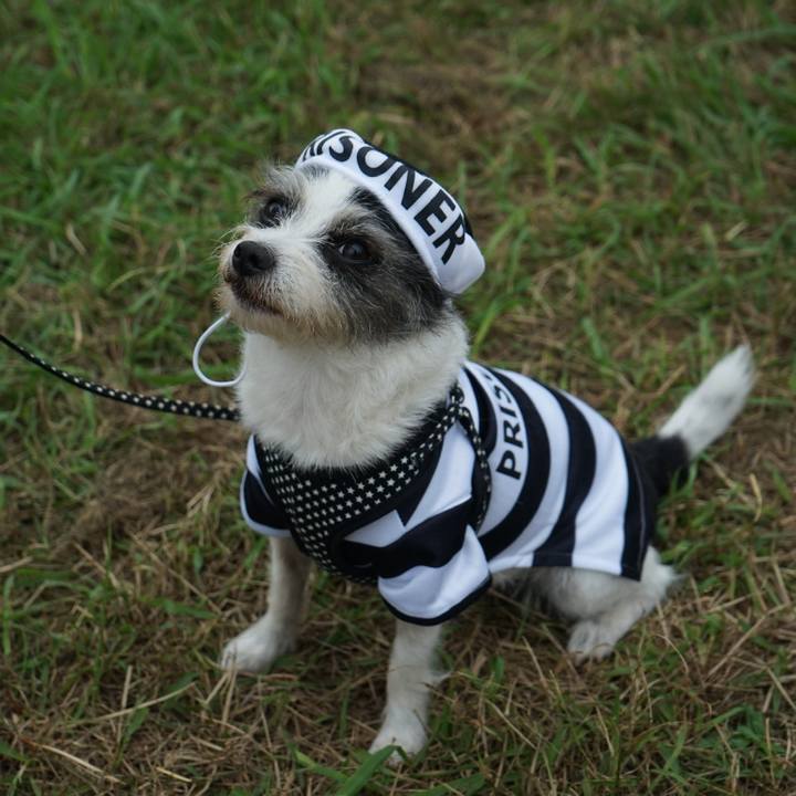 332aadb0 7313 4654 9e2b af4bd1cec91c 1730025117536