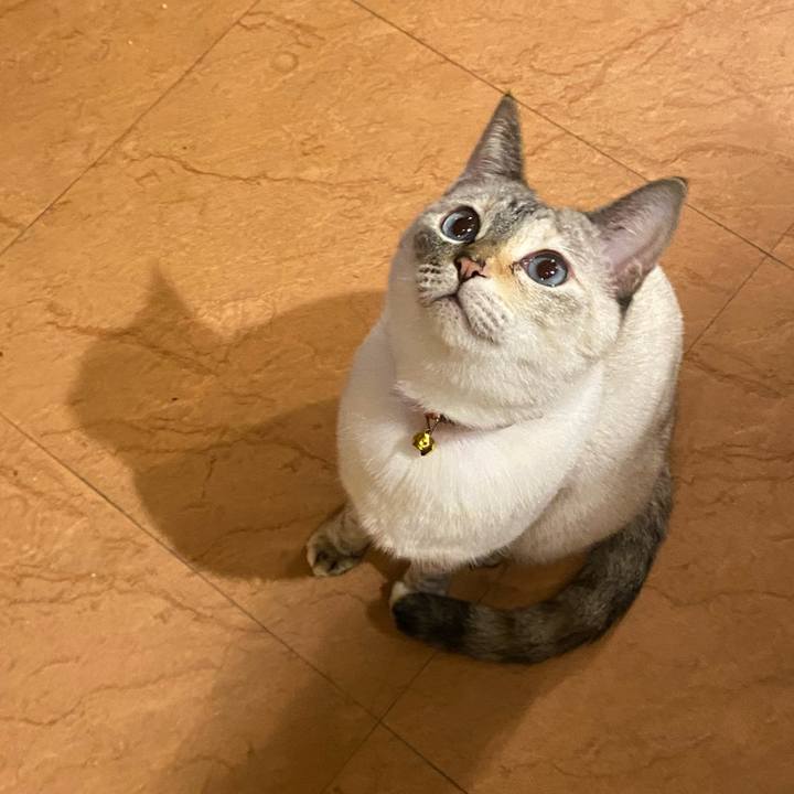 332abf8a 8bb0 4e71 b0a4 6a0c77924345 1763025979649