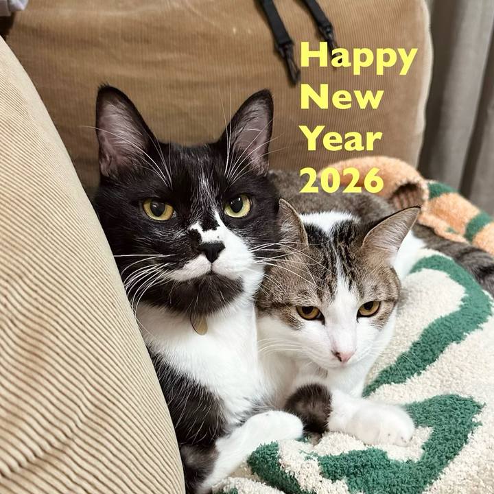 332aed79 30a0 4f97 8bcd b1a1b5d4bebf 1767195147138