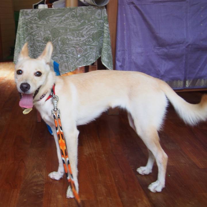 332b0a30 05cb 4dcd 9895 5b15d1e34ed3 1528629004776