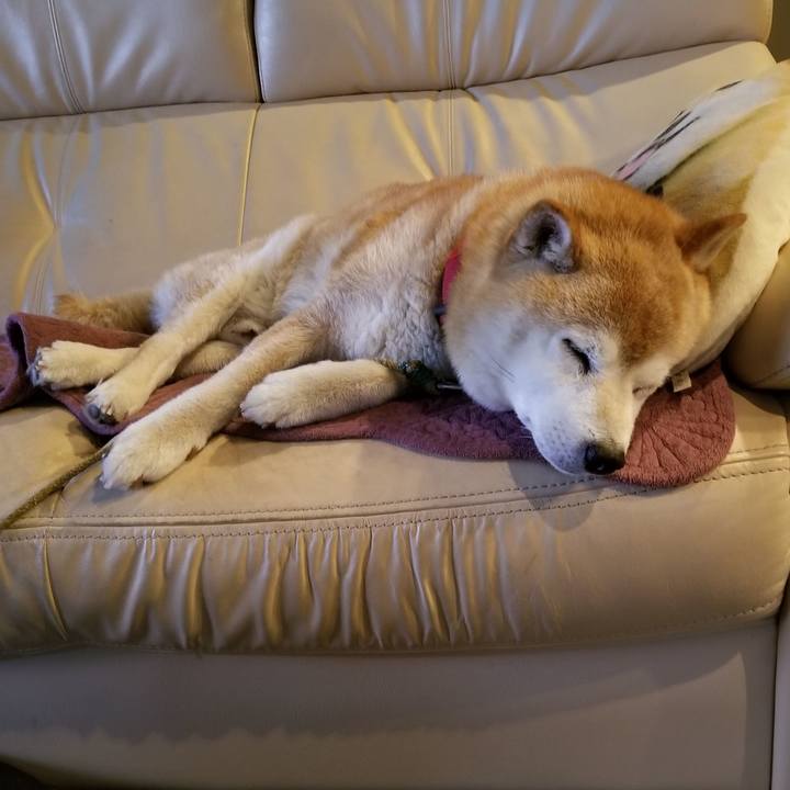 332b141b e352 48d5 8f7b 3863e78b2874 1719482272907