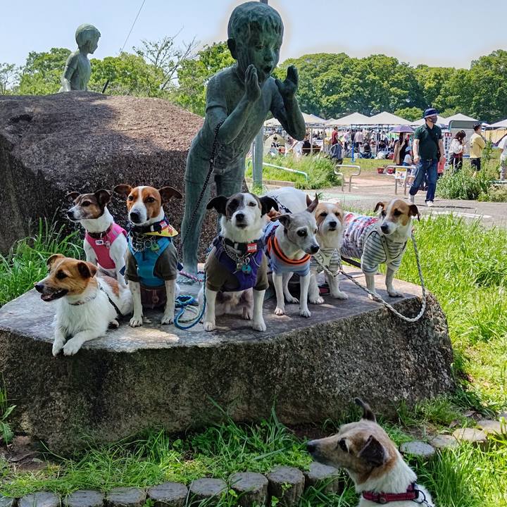 332b3880 f627 4f36 92be da8bb6cb6de1 1651674458278