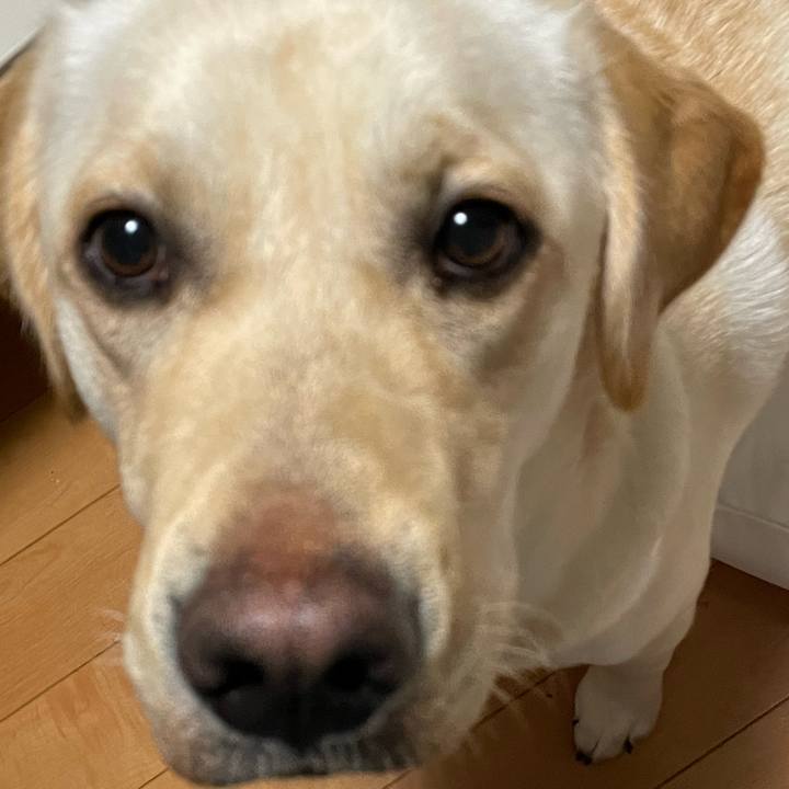 332b4576 d41e 49a2 ad63 03732f337b90 1650579954995