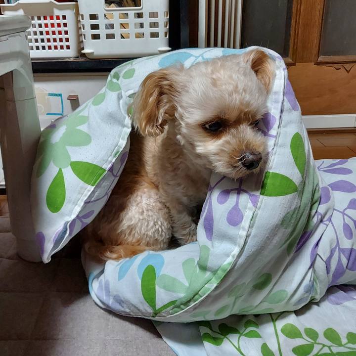 332b5931 0ce4 4c10 a8fe 4ebcec76c527 1667299204473