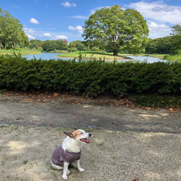 332b5d94 9ff7 44ad a73d 95d7d8033210 1692228088200