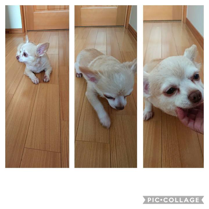 332b774a ed09 4d64 818a a349039b1b66 1565044583173