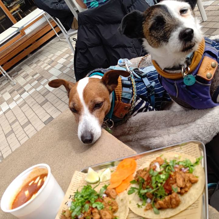 332b9a2f afdb 4850 a37a 75bed26b9191 1708178696237