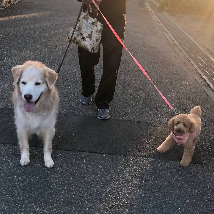 332bbbda 1129 4658 93d3 902b959c9b2d 1537653960495