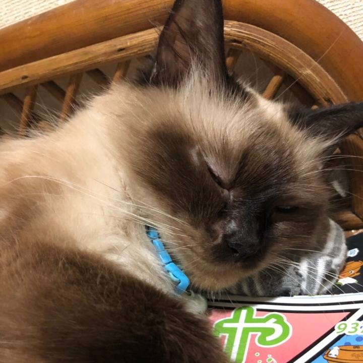 332bc06d d7b9 4204 8fa5 33acc0ed5b58 1602596525115