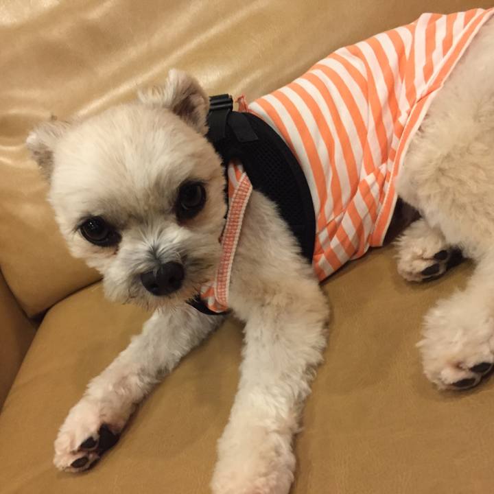 332c0c23 7606 4869 a60b 4703ab66fd59 1534416785565