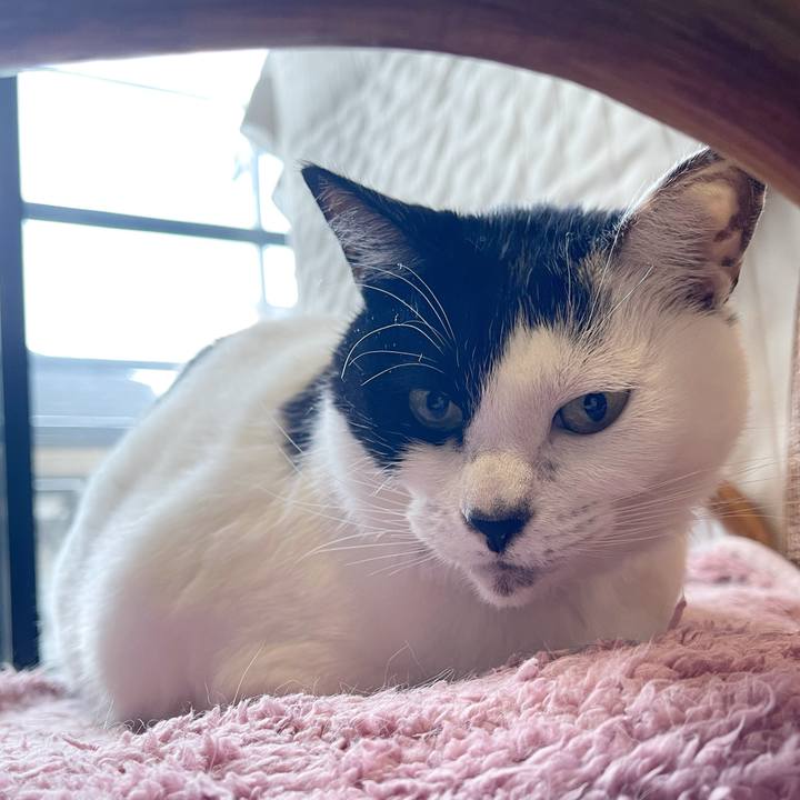 332c2bd8 a035 42ad 8764 46bdb5643fee 1771454809844